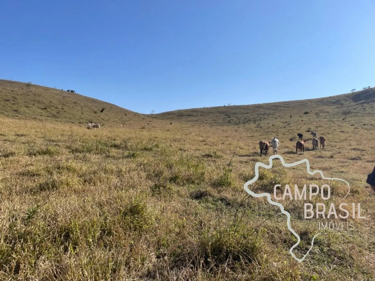 Fazenda à venda de 96 ha em Lagoinha, SP, Brasil