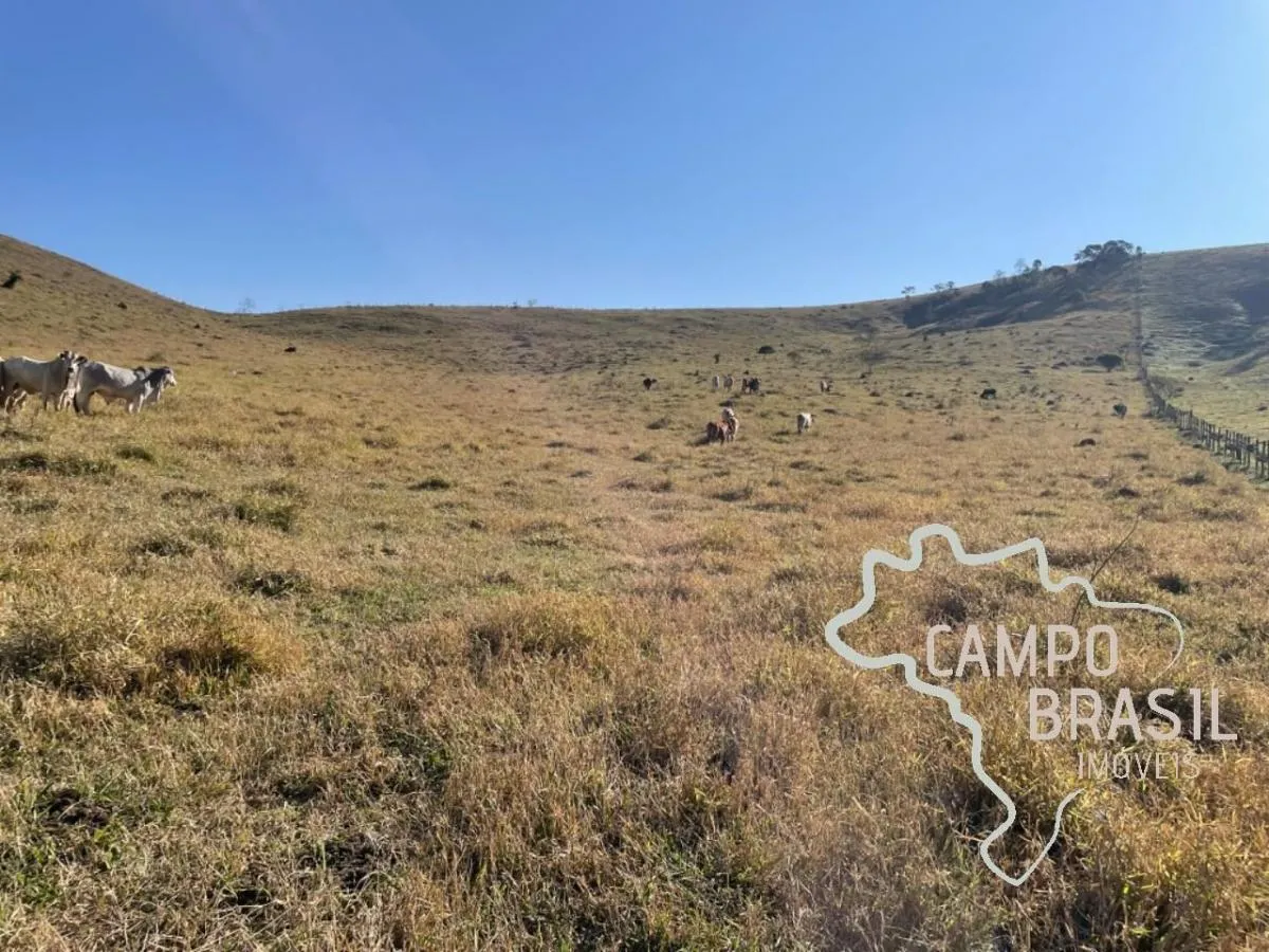 Fazenda à venda de 96 ha em Lagoinha, SP, Brasil
