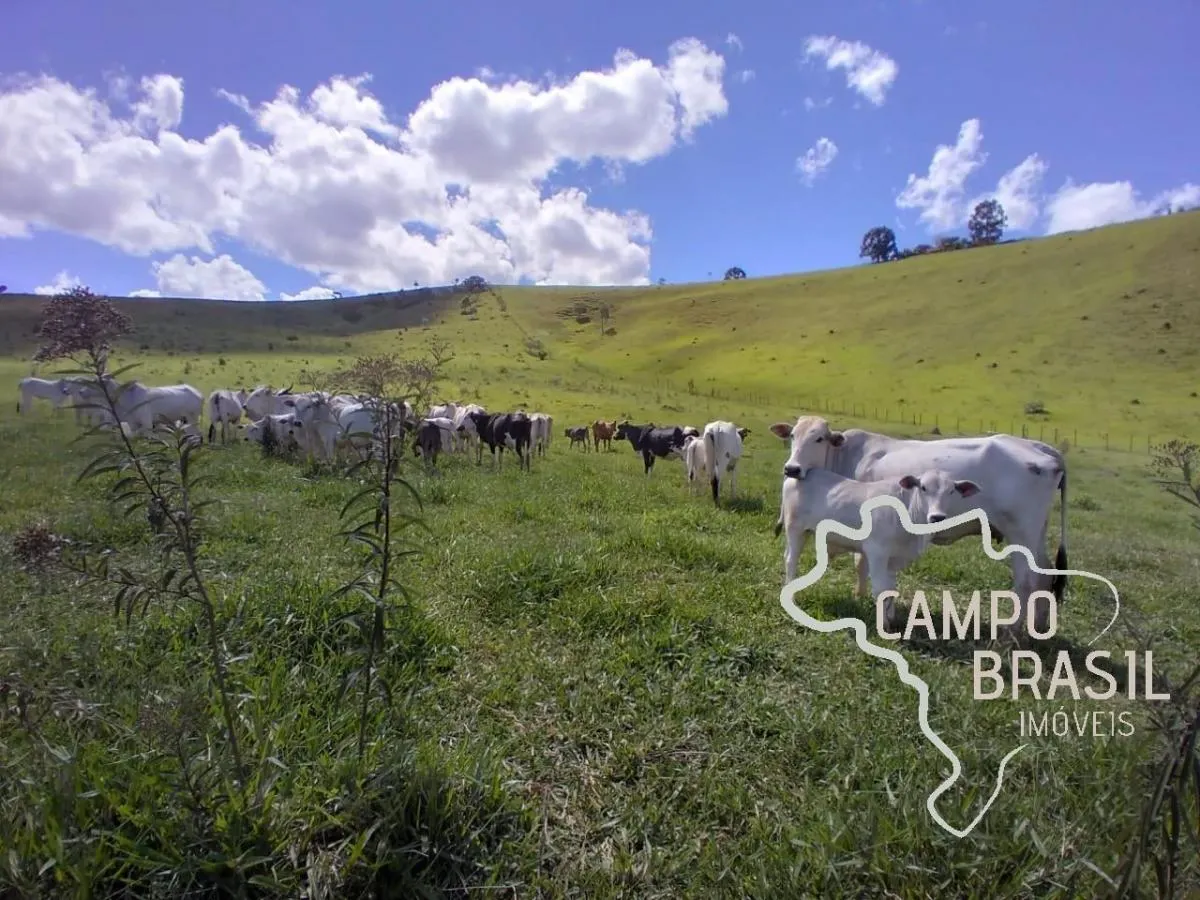 Fazenda à venda de 96 ha em Lagoinha, SP, Brasil