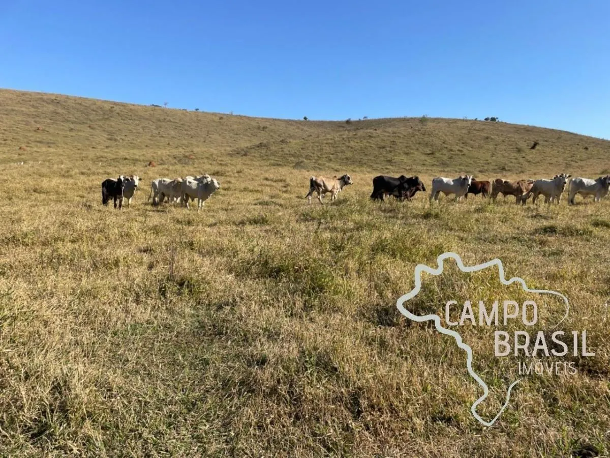 Fazenda à venda de 96 ha em Lagoinha, SP, Brasil
