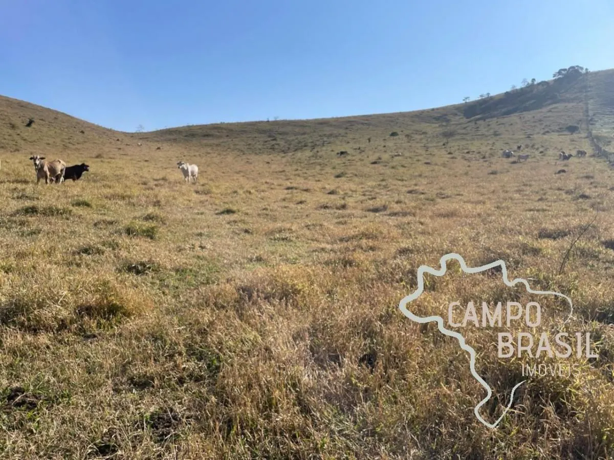 Fazenda à venda de 96 ha em Lagoinha, SP, Brasil