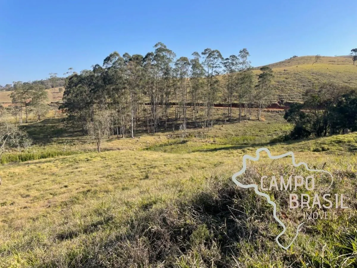 Fazenda à venda de 96 ha em Lagoinha, SP, Brasil