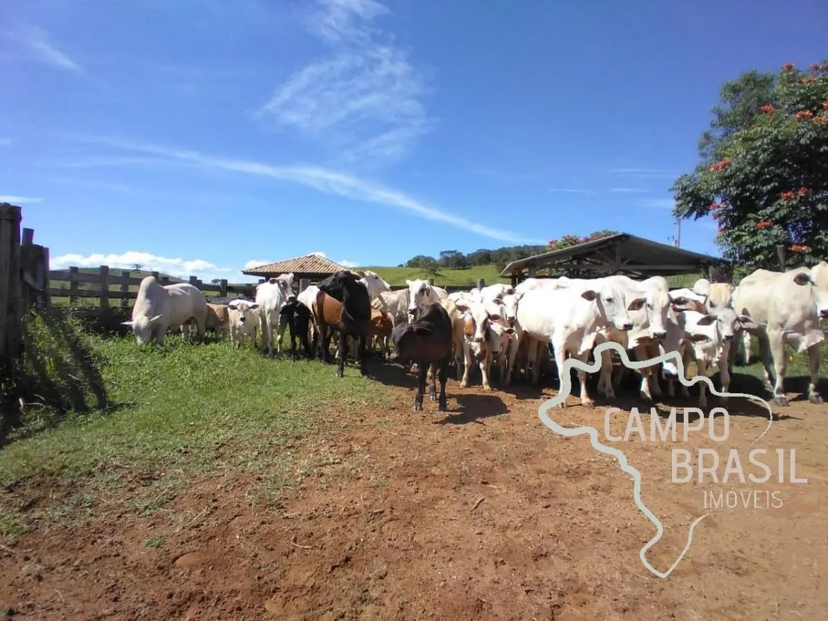 Fazenda à venda de 96 ha em Lagoinha, SP, Brasil