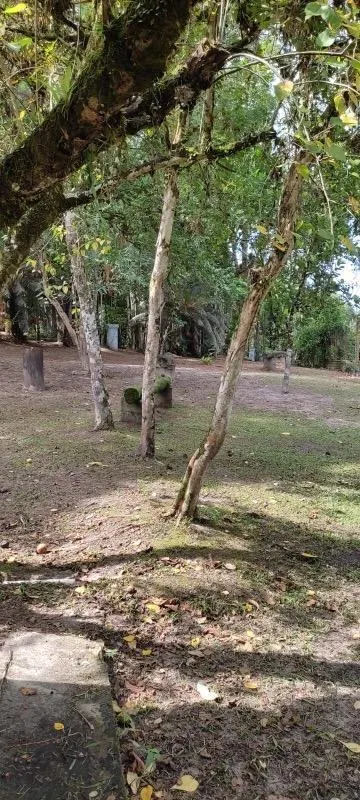 Country home for sale of 4 acres in Itanhaém, SP, Brazil