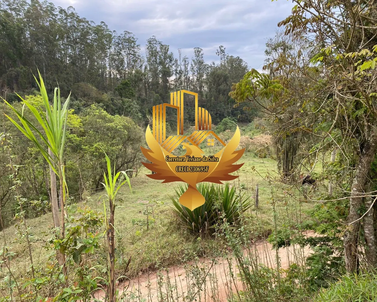 Sítio à venda de 3 ha em Paraibuna, SP, Brasil