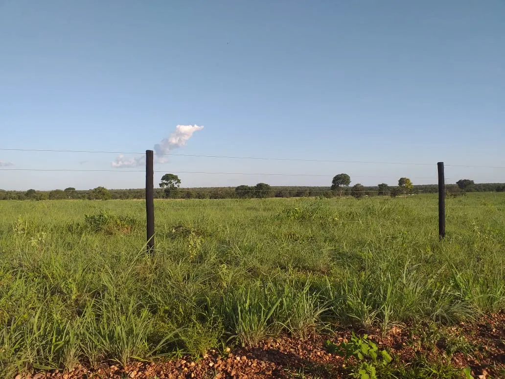 Fazenda à venda de 242 ha em Sandolândia, TO, Brasil