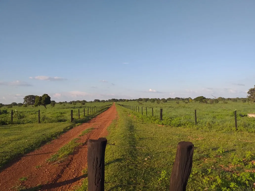 Fazenda à venda de 242 ha em Sandolândia, TO, Brasil