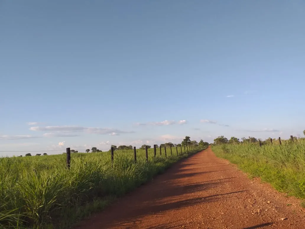 Fazenda à venda de 242 ha em Sandolândia, TO, Brasil