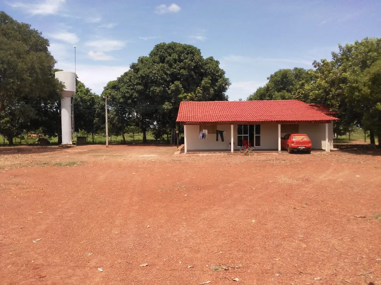 Fazenda à venda de 242 ha em Sandolândia, TO, Brasil
