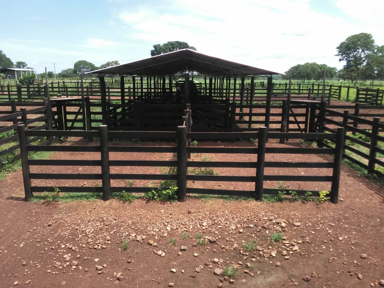 Fazenda à venda de 242 ha em Sandolândia, TO, Brasil