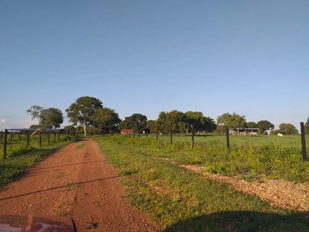 Fazenda à venda de 242 ha em Sandolândia, TO, Brasil