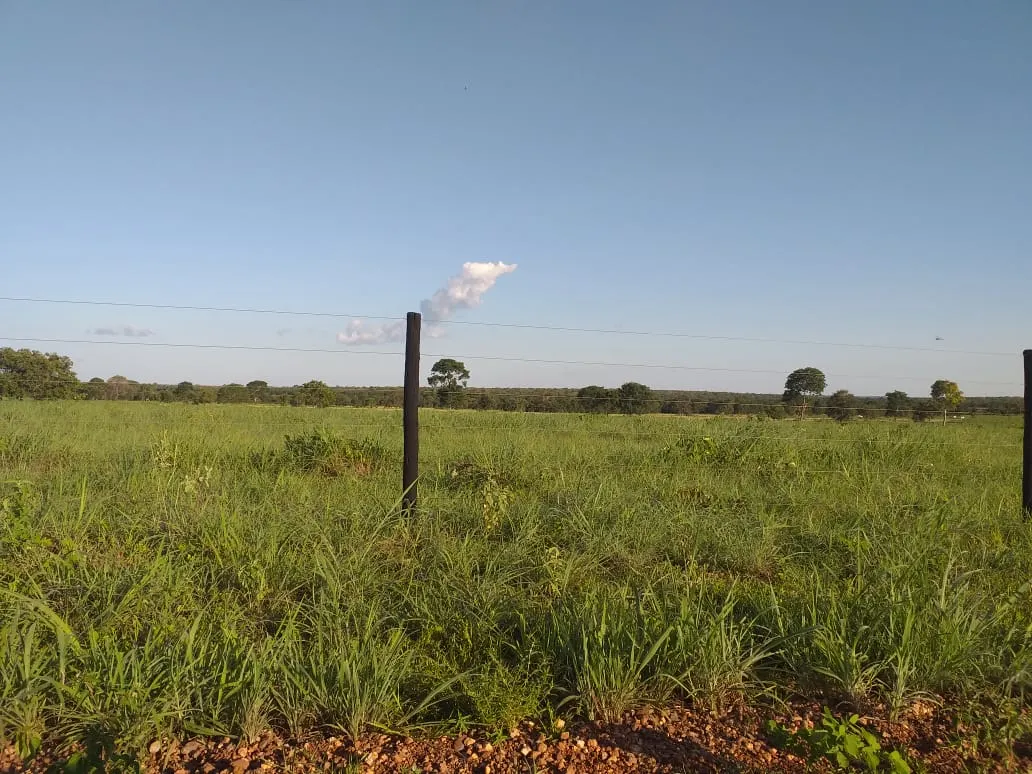 Fazenda à venda de 242 ha em Sandolândia, TO, Brasil