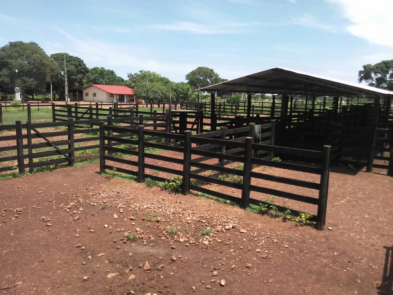 Fazenda à venda de 242 ha em Sandolândia, TO, Brasil