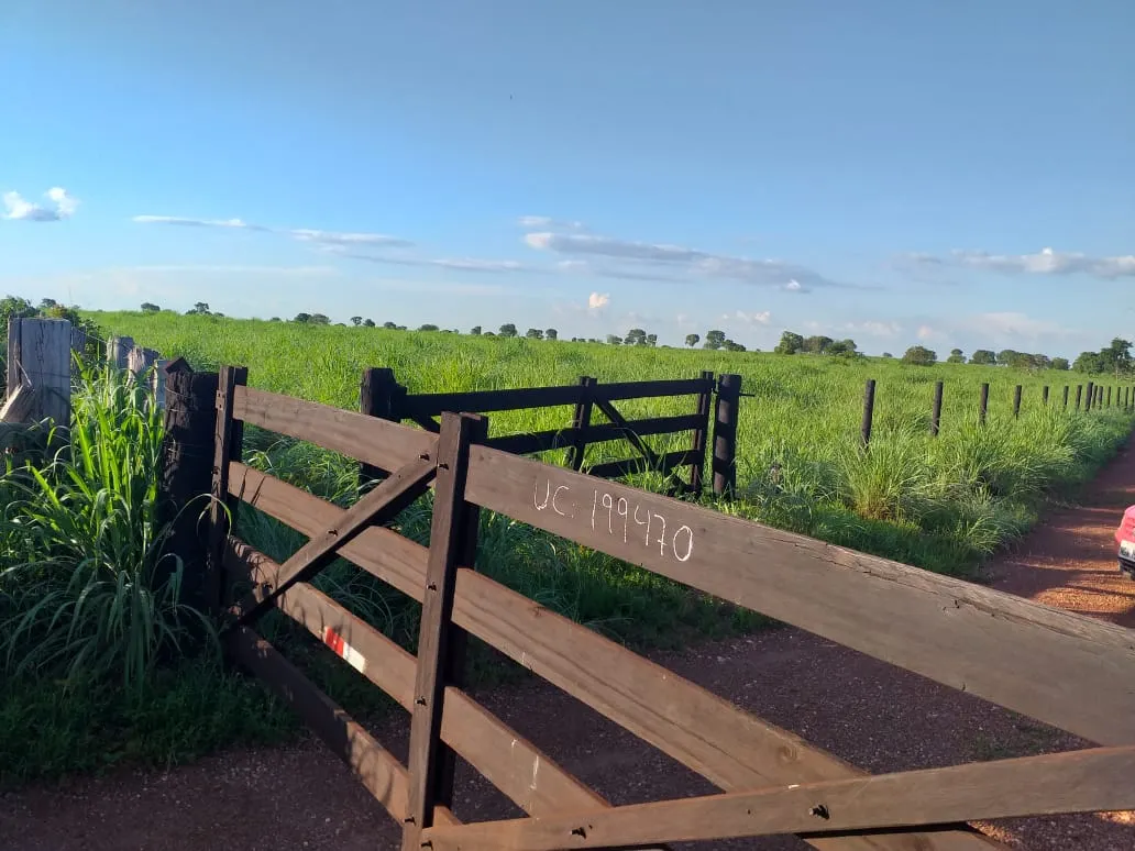Fazenda à venda de 242 ha em Sandolândia, TO, Brasil