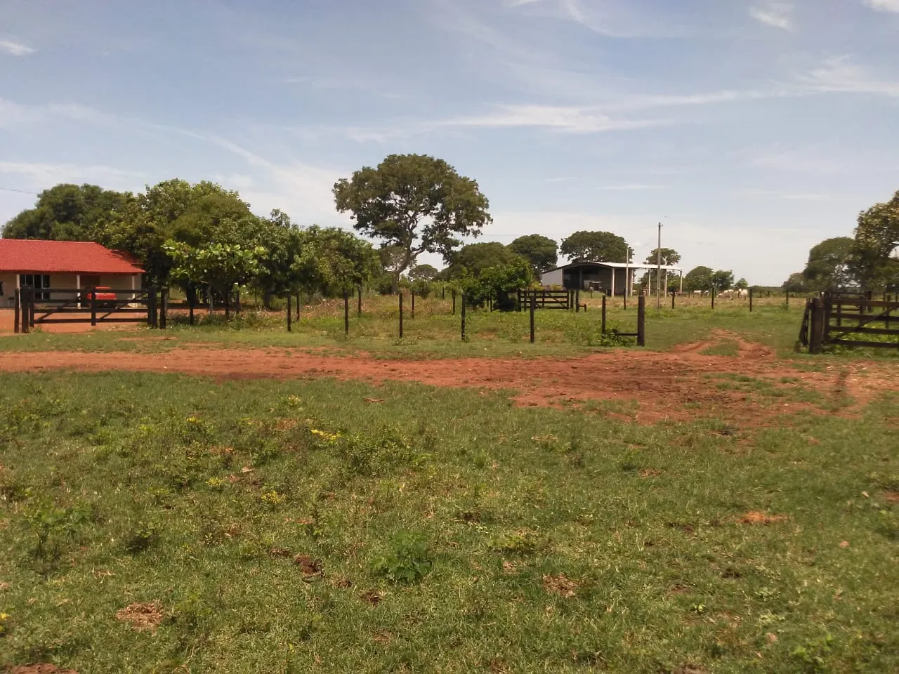 Fazenda à venda de 242 ha em Sandolândia, TO, Brasil
