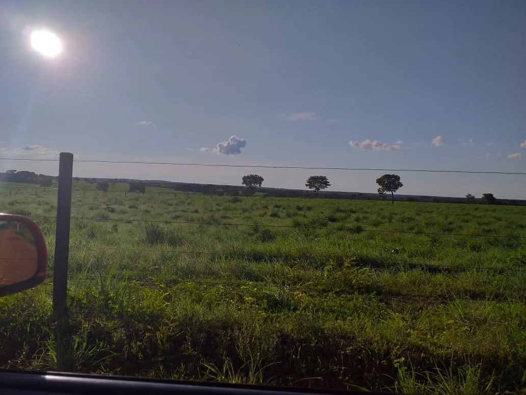 Fazenda à venda de 242 ha em Sandolândia, TO, Brasil