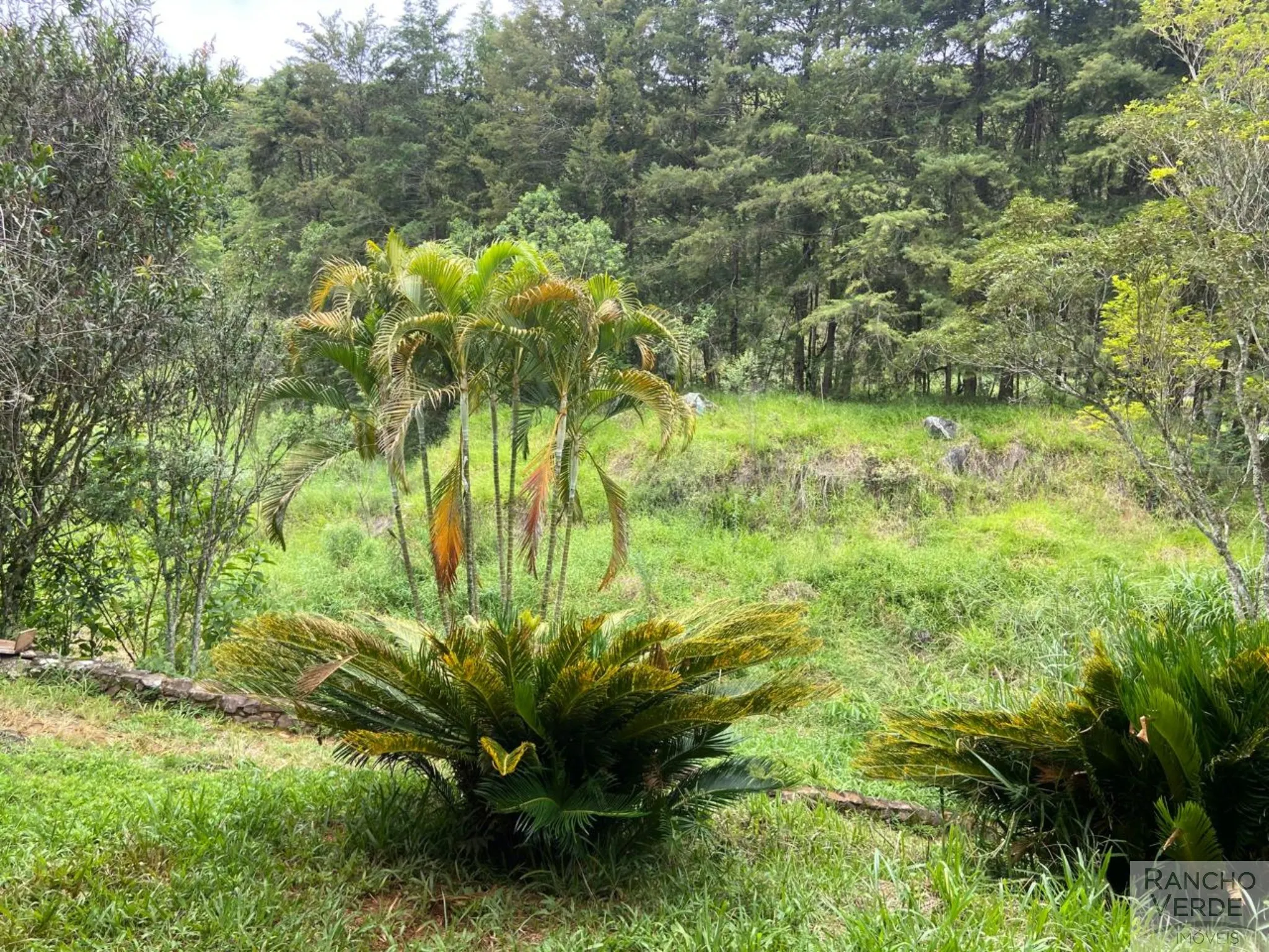 Chácara à venda de 2 ha em Cunha, SP, Brasil