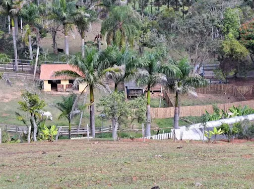 Small farm for sale of 36 acres in Santa Rita do Sapucaí, MG, Brazil