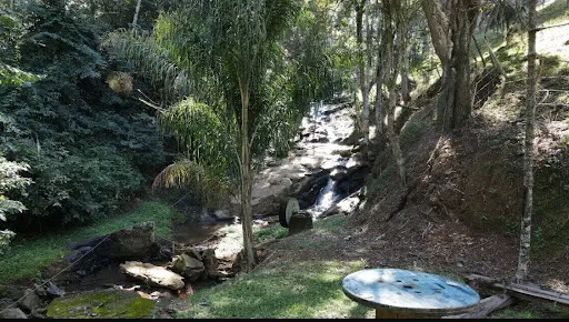 Small farm for sale of 36 acres in Santa Rita do Sapucaí, MG, Brazil