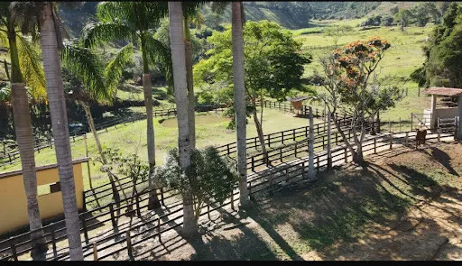 Small farm for sale of 36 acres in Santa Rita do Sapucaí, MG, Brazil