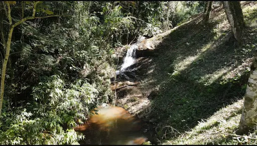 Small farm for sale of 36 acres in Santa Rita do Sapucaí, MG, Brazil
