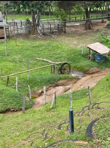 Small farm for sale of 36 acres in Santa Rita do Sapucaí, MG, Brazil