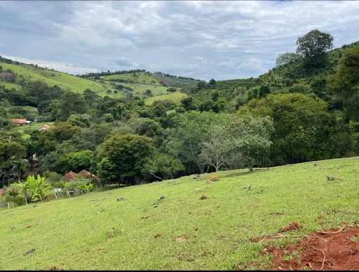 Small farm for sale of 36 acres in Santa Rita do Sapucaí, MG, Brazil