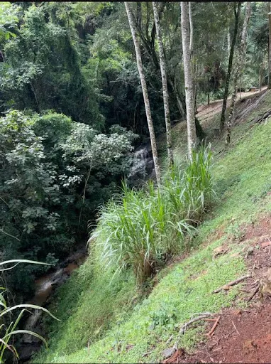 Small farm for sale of 36 acres in Santa Rita do Sapucaí, MG, Brazil