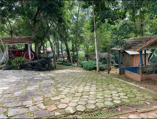 Small farm for sale of 36 acres in Santa Rita do Sapucaí, MG, Brazil