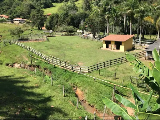 Small farm for sale of 36 acres in Santa Rita do Sapucaí, MG, Brazil