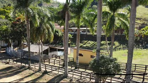 Small farm for sale of 36 acres in Santa Rita do Sapucaí, MG, Brazil