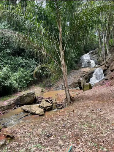 Small farm for sale of 36 acres in Santa Rita do Sapucaí, MG, Brazil
