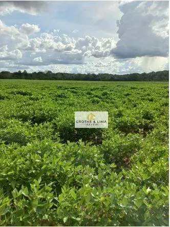 Farm for sale of 1,615 acres in Araguaína, TO, Brazil