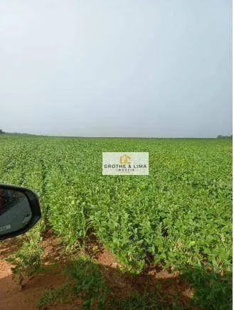 Farm for sale of 1,615 acres in Araguaína, TO, Brazil