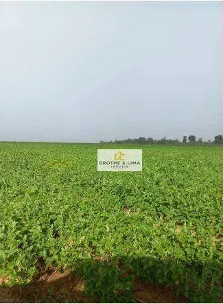 Farm for sale of 1,615 acres in Araguaína, TO, Brazil
