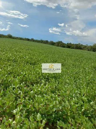 Farm for sale of 1,615 acres in Araguaína, TO, Brazil