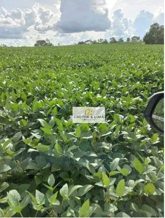 Farm for sale of 1,615 acres in Araguaína, TO, Brazil