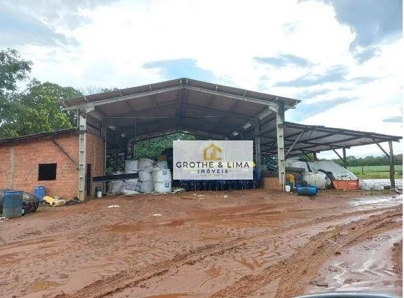Farm for sale of 1,615 acres in Araguaína, TO, Brazil