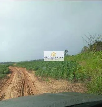 Farm for sale of 1,615 acres in Araguaína, TO, Brazil