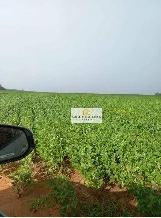 Farm for sale of 1,615 acres in Araguaína, TO, Brazil