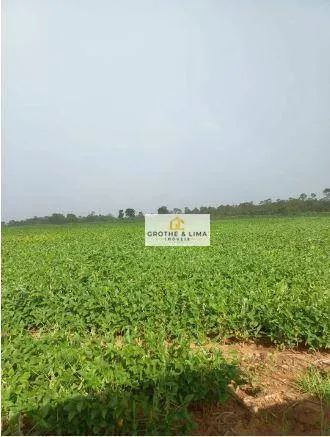 Farm for sale of 1,615 acres in Araguaína, TO, Brazil