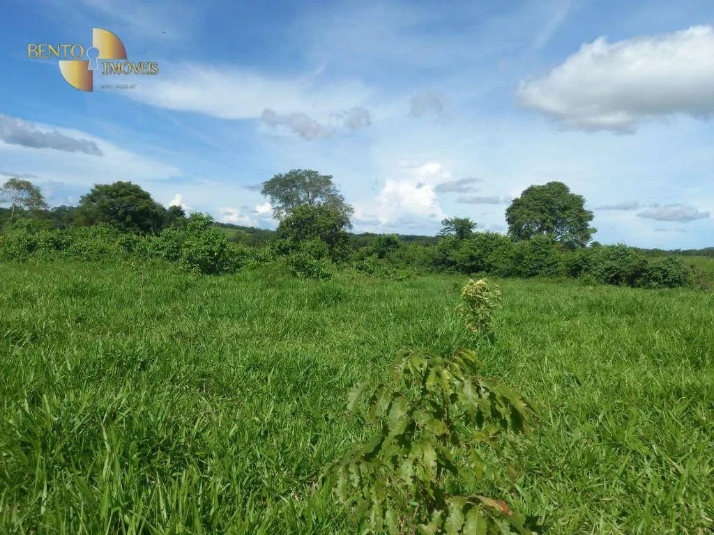 Fazenda à venda de 1.485 ha em Várzea Grande, MT, Brasil