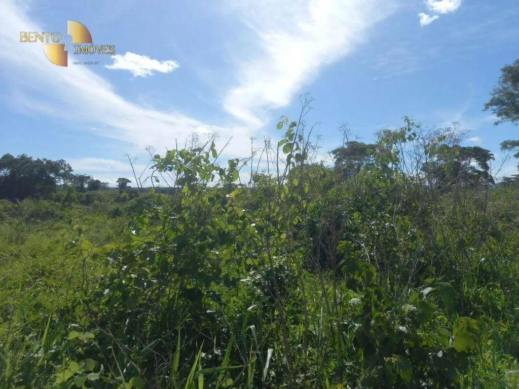 Fazenda à venda de 1.485 ha em Várzea Grande, MT, Brasil