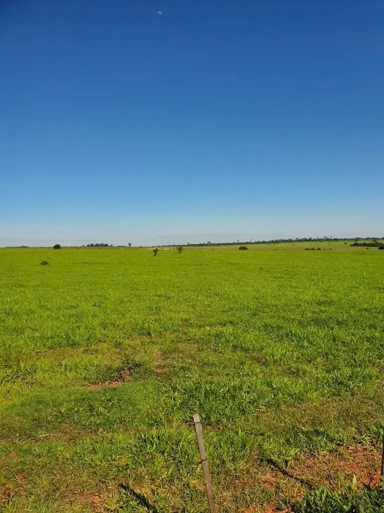 Fazenda à venda de 12.300 ha em San Pedro de Ycuamandiyú, Paraguai