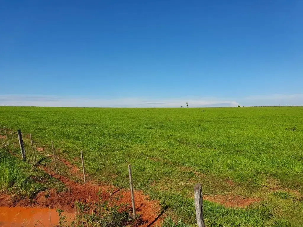 Fazenda à venda de 12.300 ha em San Pedro de Ycuamandiyú, Paraguai