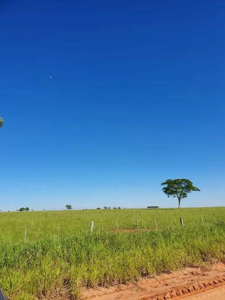 Fazenda à venda de 12.300 ha em San Pedro de Ycuamandiyú, Paraguai