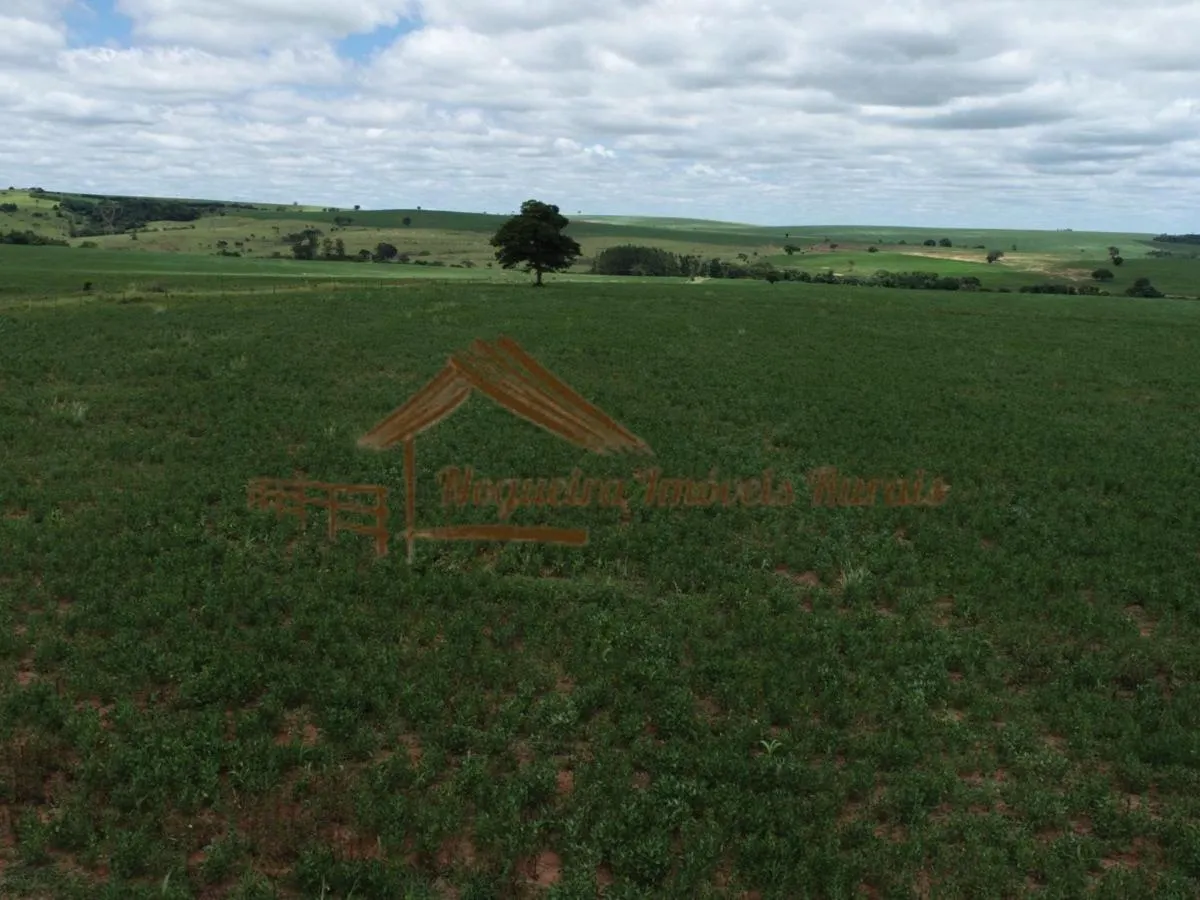 Fazenda à venda de 546 ha em Bauru, SP, Brasil
