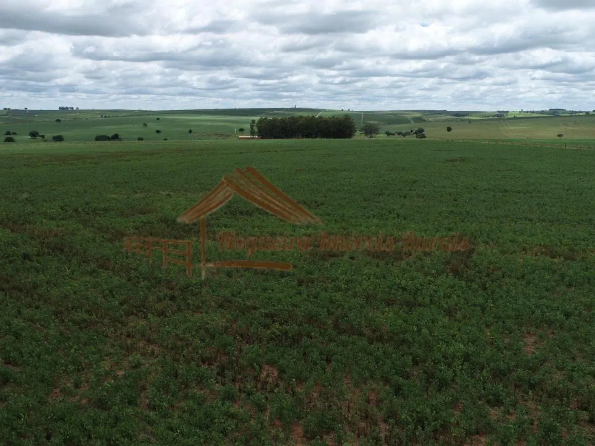 Fazenda à venda de 546 ha em Bauru, SP, Brasil