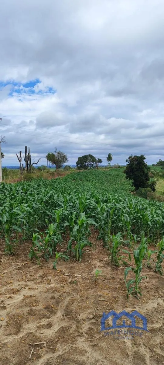 Sítio à venda de 38 ha em Itapetininga, SP, Brasil