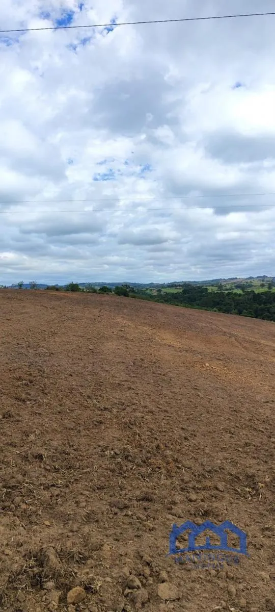 Sítio à venda de 38 ha em Itapetininga, SP, Brasil